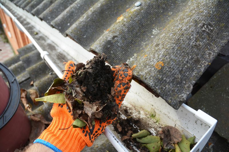 Commercial Gutter Unclogging in Denver County, CO