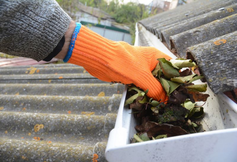 Roof Gutter Cleaning in Annapolis, MD